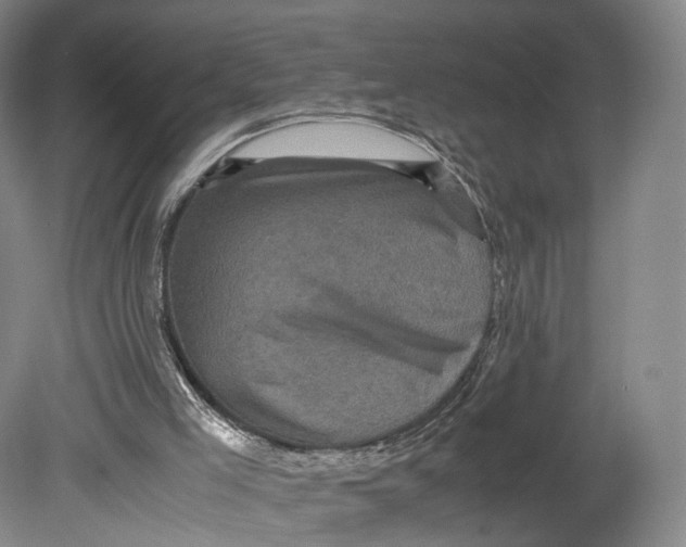 X0000080810005200701021328