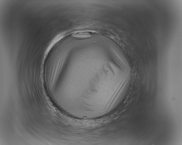 X0000080810006200701021328