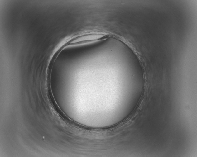 X0000080810008200701021327