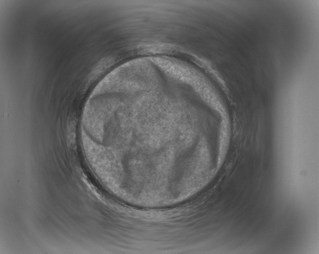 X0000080810010200701021327