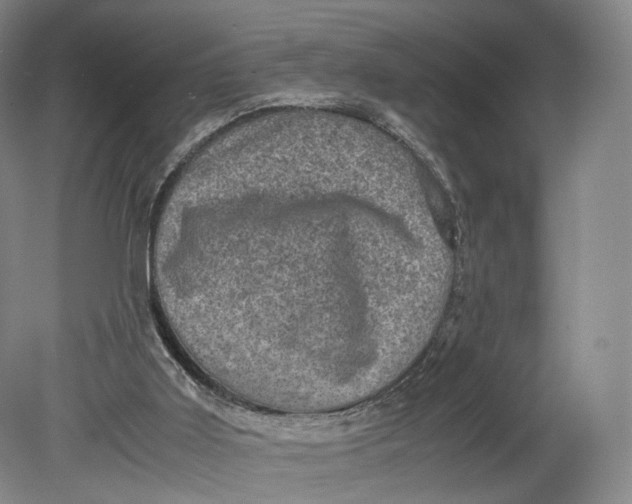 X0000080810011200701021327