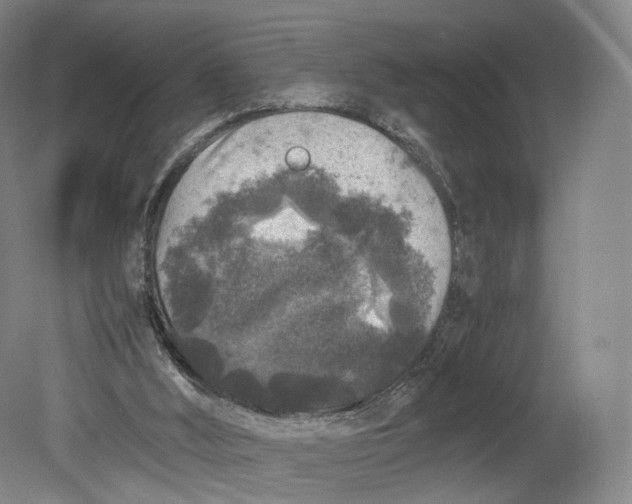 X0000080810012200701021327