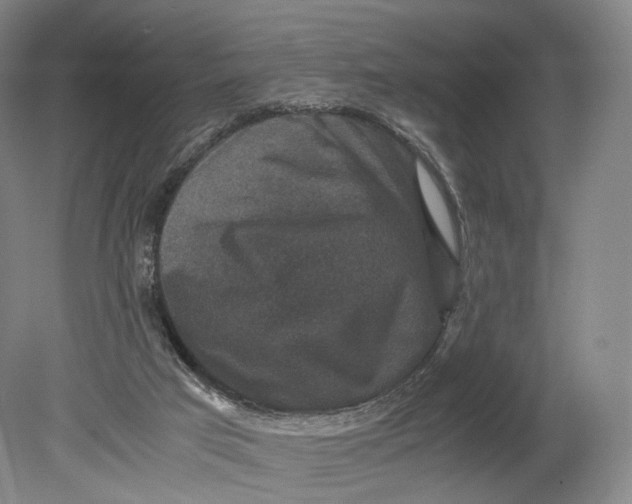 X0000080810017200701021327