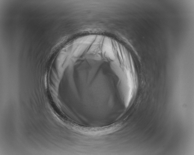 X0000080810019200701021327