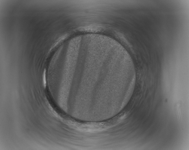 X0000080810020200701021327