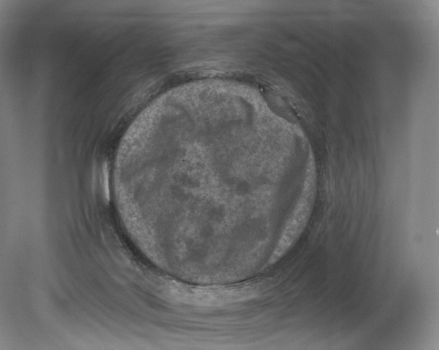 X0000080810022200701021327