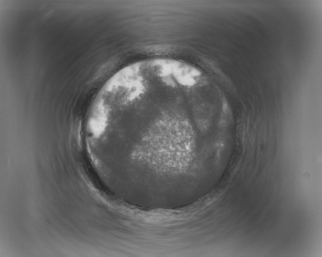 X0000080810024200701021327