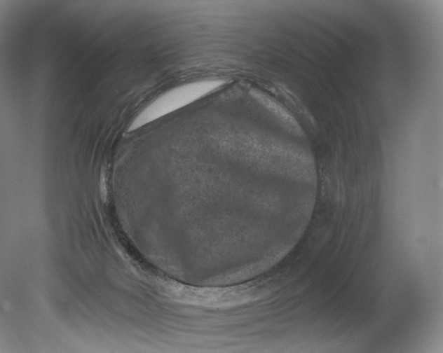 X0000080810026200701021327