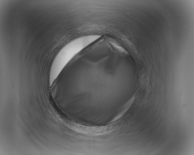 X0000080810027200701021327