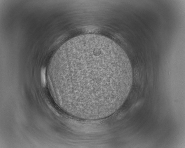 X0000080810028200701021327