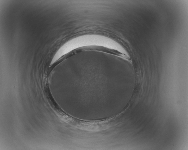 X0000080810029200701021327