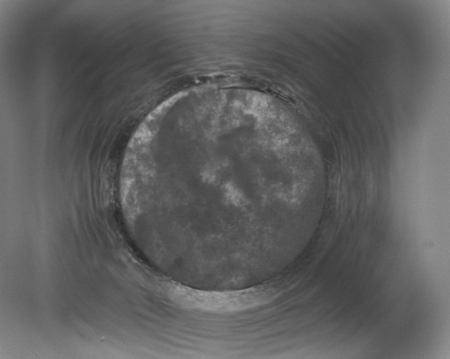 X0000080810030200701021327