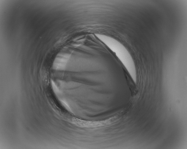 X0000080810031200701021327