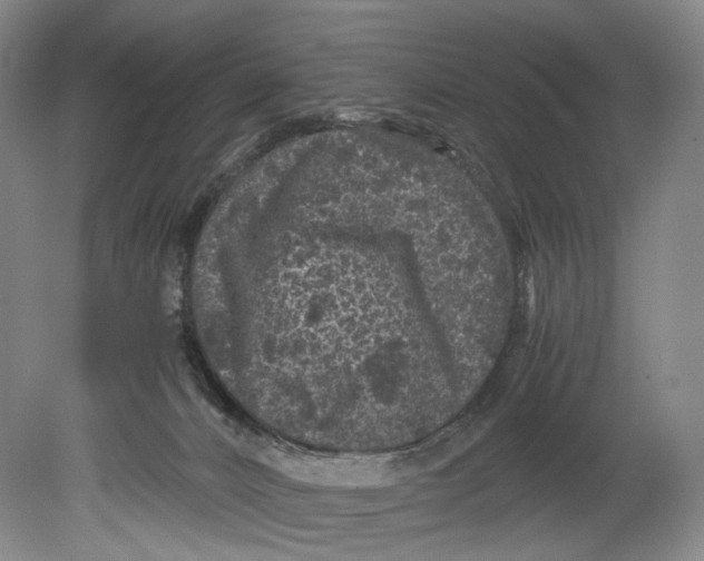 X0000080810032200701021327