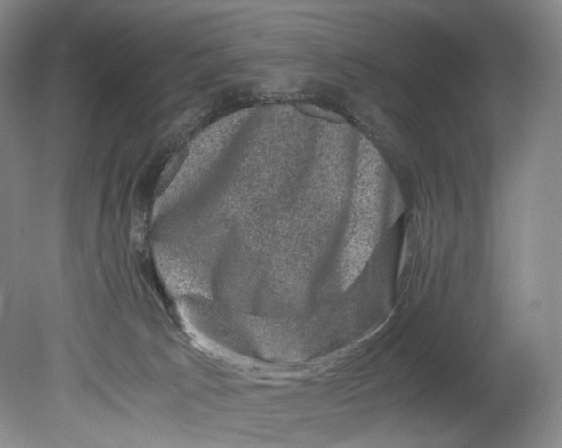 X0000080810033200701021327