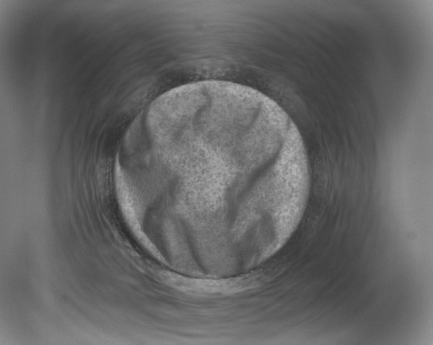 X0000080810034200701021327