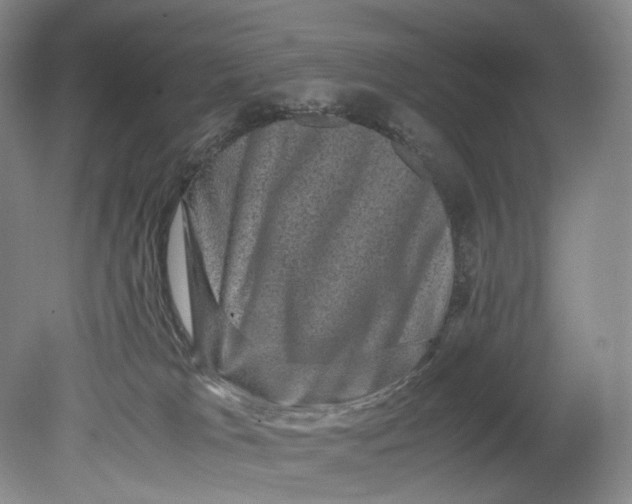 X0000080810037200701021327