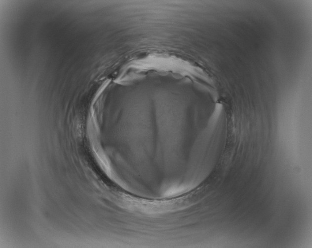 X0000080810039200701021327