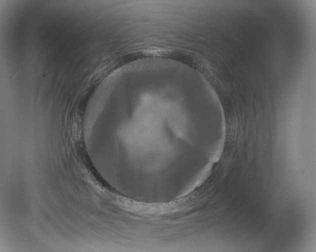 X0000080810043200701021327