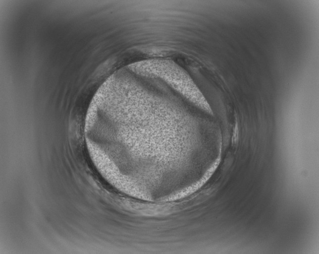 X0000080810044200701021327