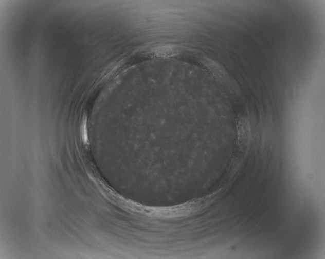 X0000080810046200701021327