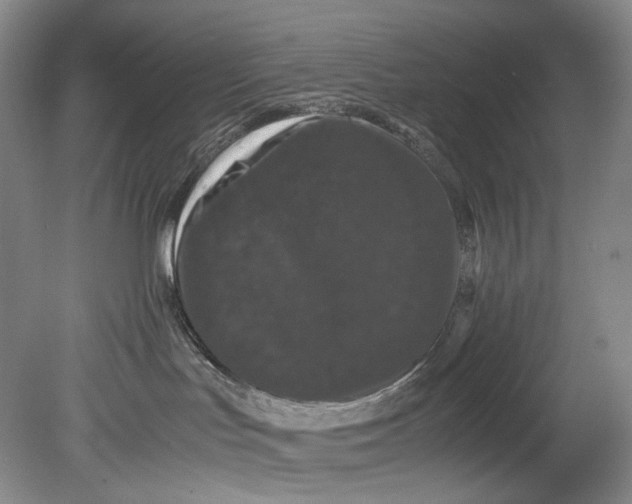 X0000080810047200701021327