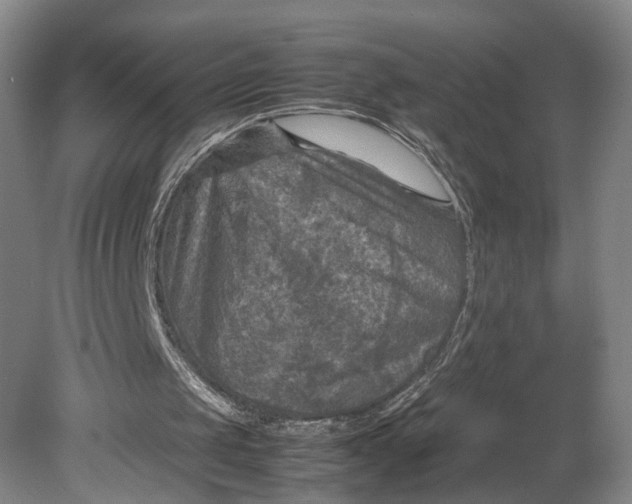 X0000080810049200701021326