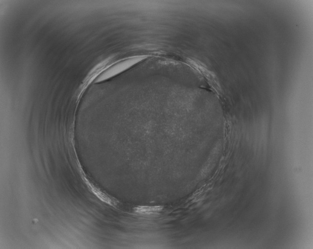 X0000080810051200701021326