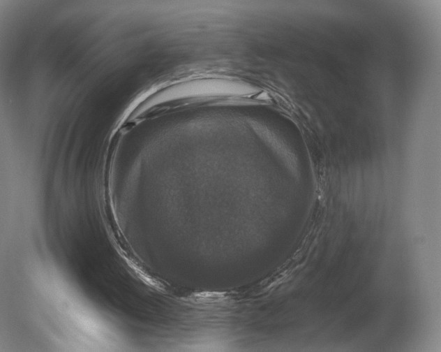 X0000080810052200701021326