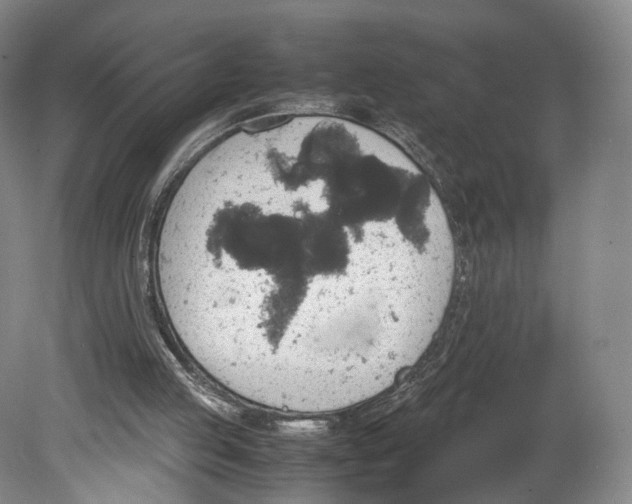 X0000080810053200701021326