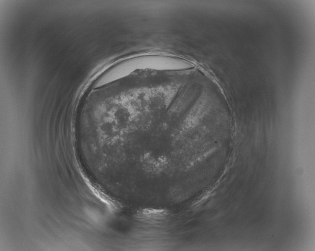 X0000080810055200701021326