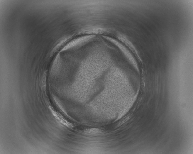 X0000080810058200701021326