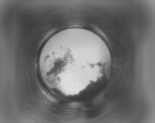 X0000080810059200701021326