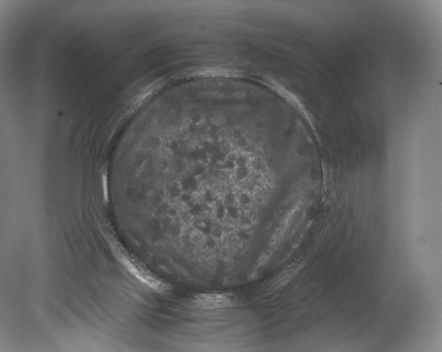 X0000080810061200701021326