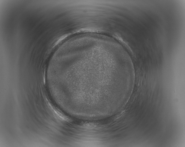 X0000080810062200701021326