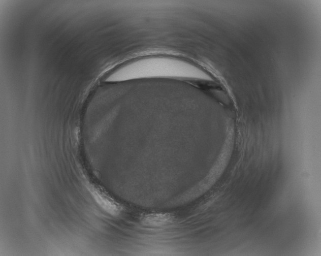 X0000080810063200701021326