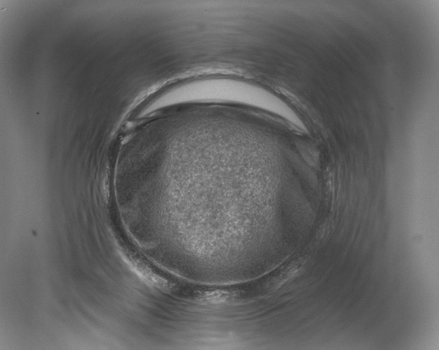 X0000080810064200701021326