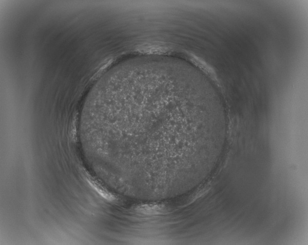 X0000080810065200701021326