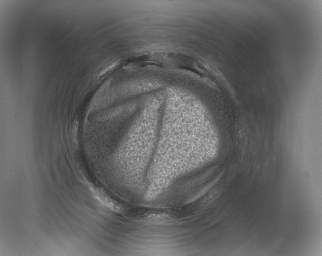 X0000080810066200701021326