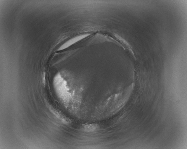 X0000080810067200701021326