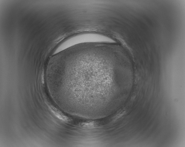 X0000080810068200701021326