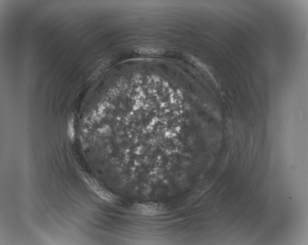 X0000080810069200701021326