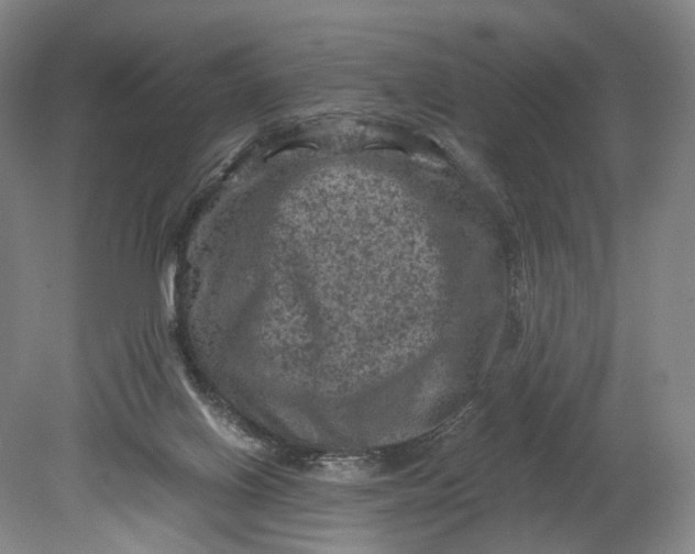 X0000080810070200701021326