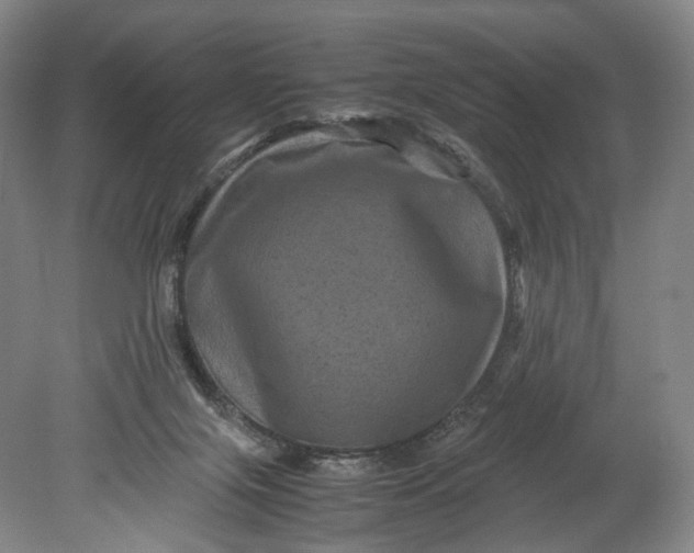 X0000080810071200701021326