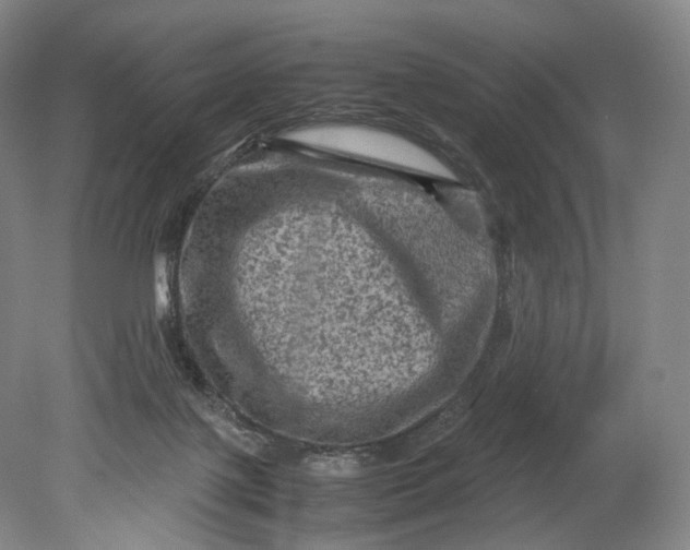 X0000080810075200701021326