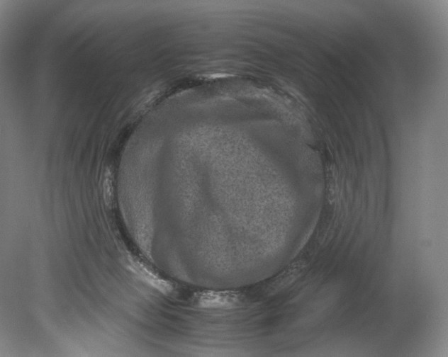 X0000080810077200701021326