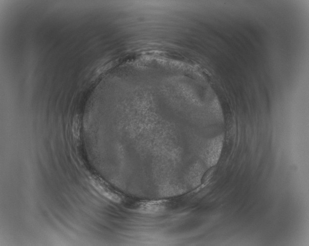 X0000080810078200701021327