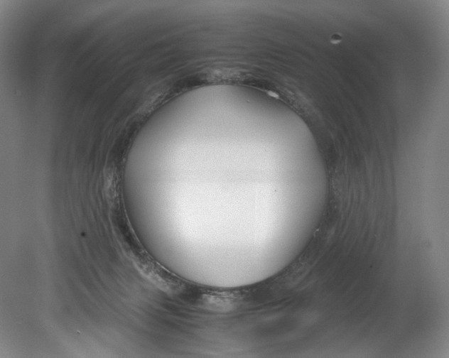 X0000080810079200701021327