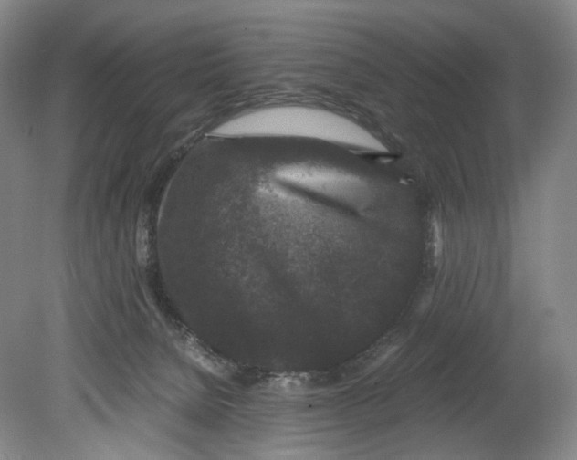 X0000080810080200701021327