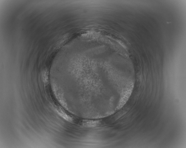 X0000080810081200701021327